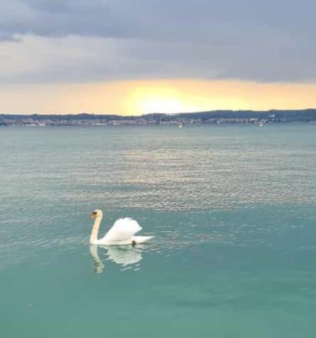 Vera Luxury Apartment Sirmione Zewnętrze zdjęcie